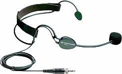 Click to view Sennheiser data