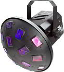 Click to view Chauvet data